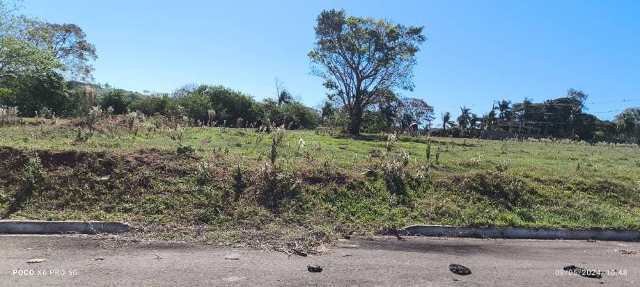 Foto 13 de 16: Terreno em leilão em Pérola - PR — LOTE 1: Lote, Padrão, 0 vaga(s) de garagem PÉROLA PR