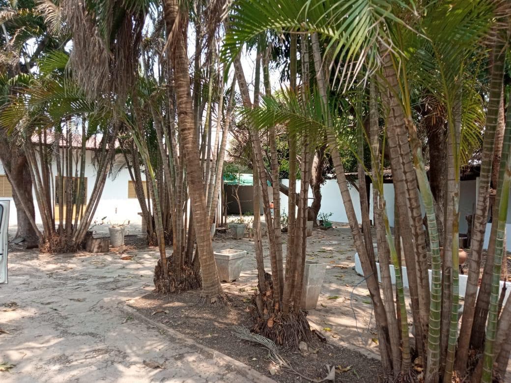 Foto 15 de 16: Casa em leilão em Cuiabá - MT — LOTE 8: Casa com 223,00 m² - Residencial Altos