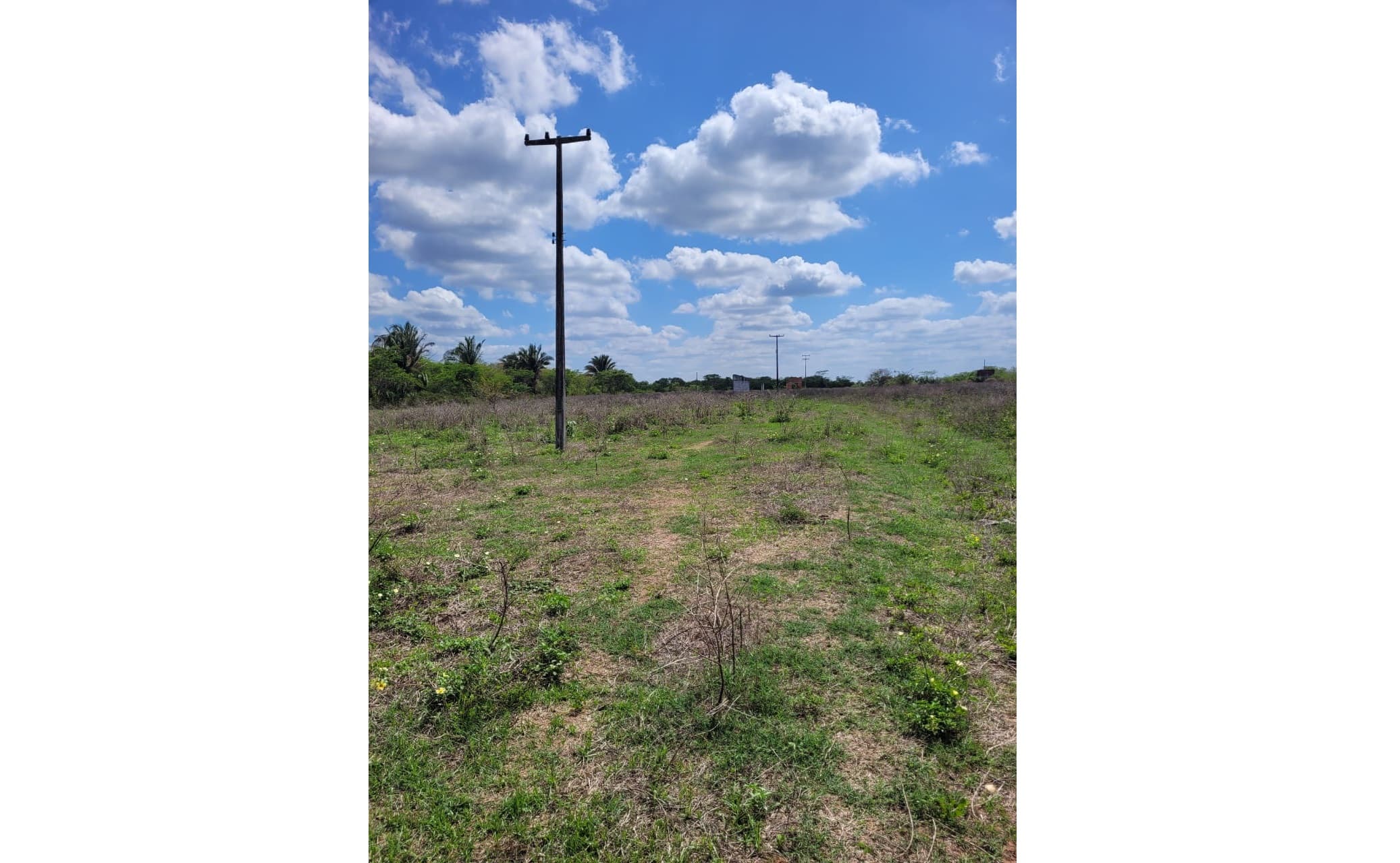 Foto 4 de 4: Area Rural em leilão em Teresina - PI — LOTE 4: Área Rural com 20 ha - Gurupá