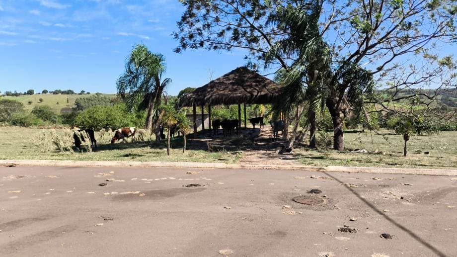 Foto 9 de 16: Terreno em leilão em Pérola - PR — LOTE 1: Lote, Padrão, 0 vaga(s) de garagem PÉROLA PR
