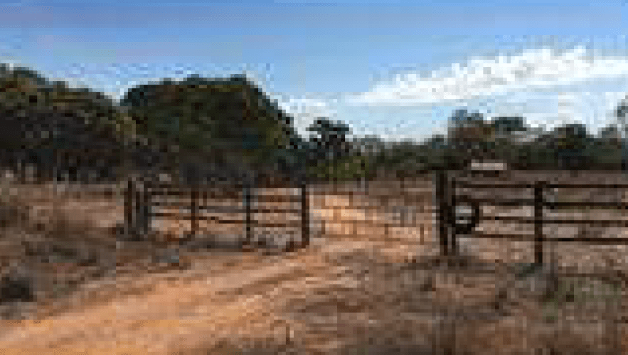 Foto 4 de 4: Area Rural em leilão em Talismã - TO — LOTE 52: Área Rural com 102,8203 ha - Zona Rural