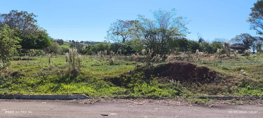 Foto 11 de 16: Terreno em leilão em Pérola - PR — LOTE 1: Lote, Padrão, 0 vaga(s) de garagem PÉROLA PR