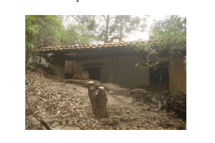 Foto 6 de 9: Area Rural em leilão em Valinhos - SP — LOTE 1: Gleba de terras com 2 alqueires - (02)