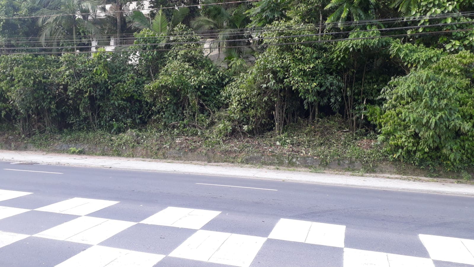 Foto 5 de 7: Terreno em leilão em Joinville - SC — LOTE 9: Terreno com 1.214,37 m² - Boa Vista (Centro)
