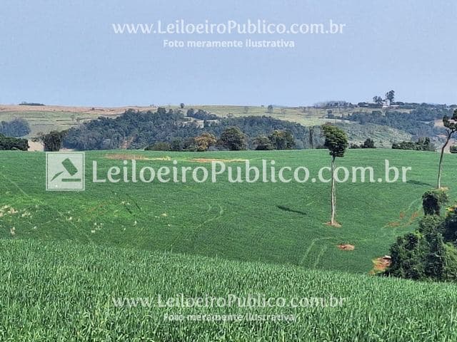 Area Rural em leilão em Capanema - PR — CAPANEMA (PR): IMÓVEL RURAL 30.303,46 m²
