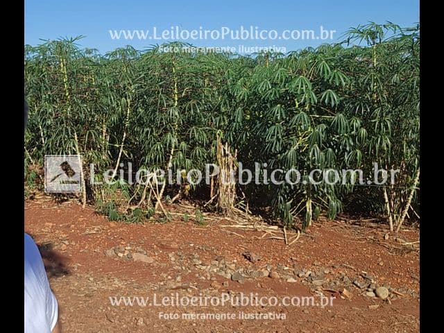 Area Rural em leilão em São Miguel Do Iguaçu - PR — SÃO MIGUEL DO IGUAÇU (PR): IMÓVEL 256,20 M²