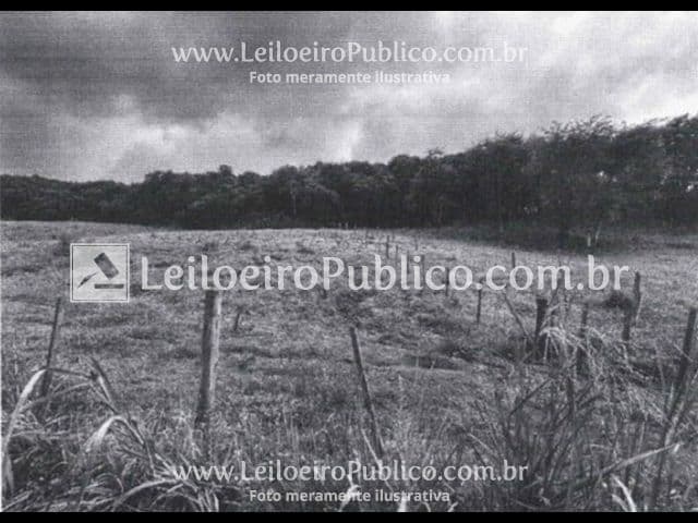 Foto 3 de 7: Area Rural em leilão em São João - PR — SÃO JOÃO (PR): IMÓVEL 27.111,00 m²