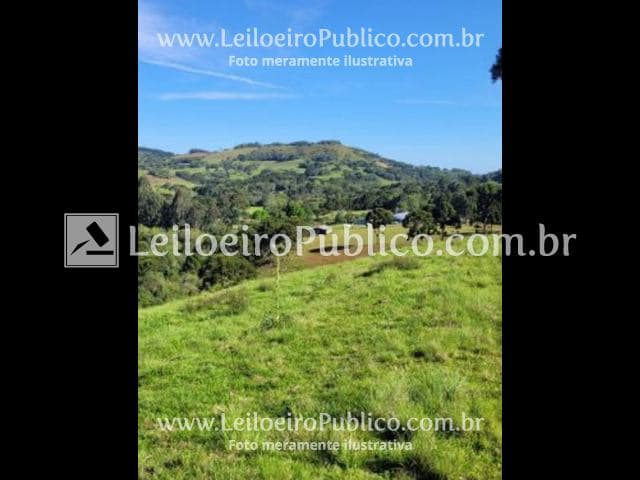 Foto 7 de 11: Area Rural em leilão em Capão Bonito Do Sul - RS — CAPÃO B. DO SUL (RS): TERRENO 6 HAS.5.000 M²