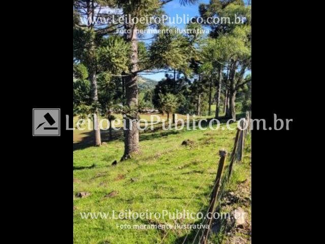 Foto 8 de 11: Area Rural em leilão em Capão Bonito Do Sul - RS — CAPÃO B. DO SUL (RS): TERRENO 6 HAS.5.000 M²