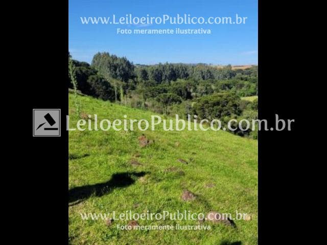 Foto 9 de 11: Area Rural em leilão em Capão Bonito Do Sul - RS — CAPÃO B. DO SUL (RS): TERRENO 6 HAS.5.000 M²