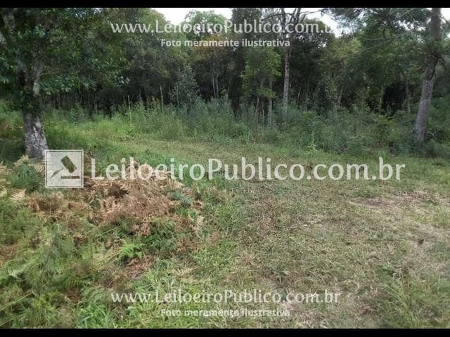 Foto 4 de 9: Terreno em leilão em Porto União - SC — PORTO UNIÃO (SC): TERRENO 93.477,00 m²