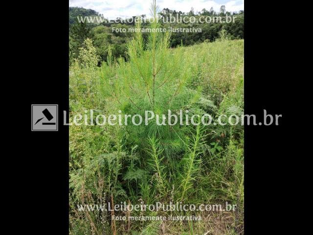 Foto 5 de 9: Terreno em leilão em Porto União - SC — PORTO UNIÃO (SC): TERRENO 93.477,00 m²