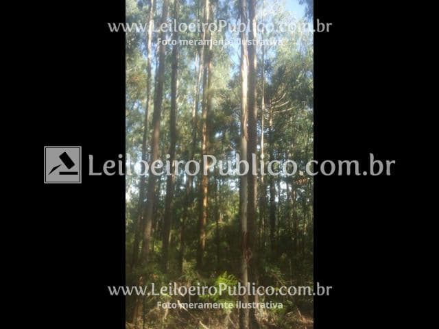 Foto 7 de 9: Terreno em leilão em Porto União - SC — PORTO UNIÃO (SC): TERRENO 93.477,00 m²