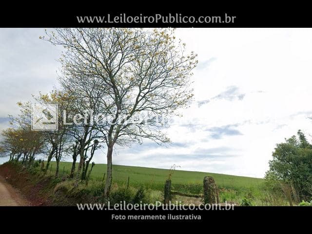 Foto 1 de 9: Area Rural em leilão em Chapecó - SC — CHAPECÓ (SC): TERRENO 90.641,00 m²