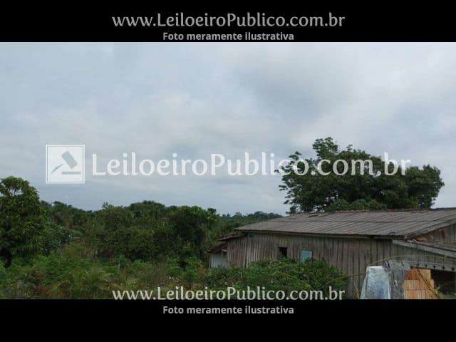 Foto 5 de 9: Area Rural em leilão em Alta Floresta - MT — ALTA FLORESTA (MT): IMÓVEL 25,215 ha