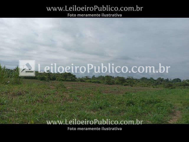 Foto 9 de 9: Area Rural em leilão em Alta Floresta - MT — ALTA FLORESTA (MT): IMÓVEL 25,215 ha