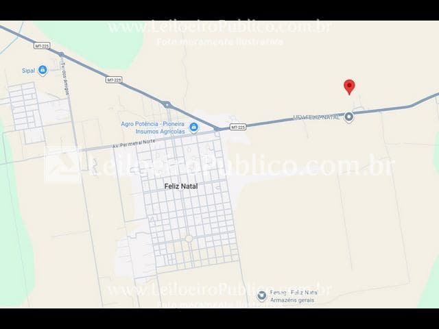 Foto 4 de 4: Area Rural em leilão em Feliz Natal - MT — FELIZ NATAL (MT): TERRENO 4,838 ha