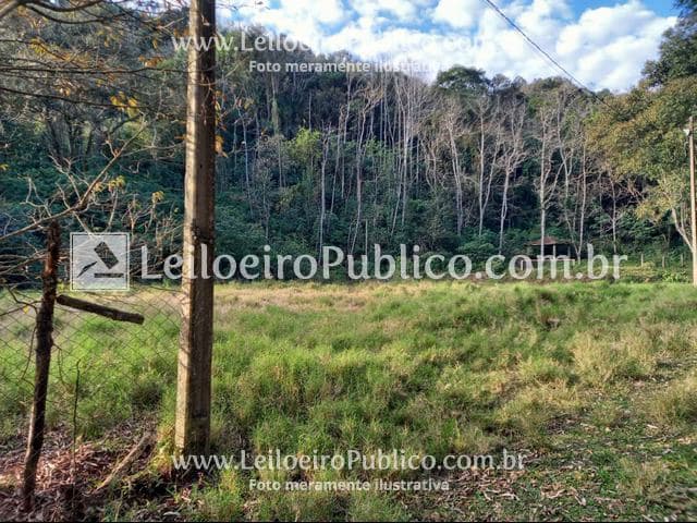 Foto 38 de 95: Area Rural em leilão em Itá - SC — ITÁ (SC): IMÓVEL 30.000,00 m²