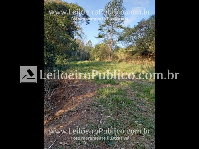 Foto 41 de 95: Area Rural em leilão em Itá - SC — ITÁ (SC): IMÓVEL 30.000,00 m²