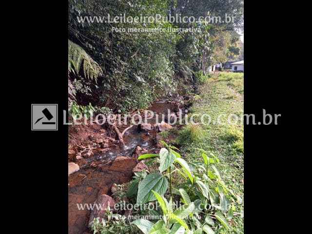 Foto 45 de 95: Area Rural em leilão em Itá - SC — ITÁ (SC): IMÓVEL 30.000,00 m²