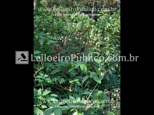 Foto 60 de 95: Area Rural em leilão em Itá - SC — ITÁ (SC): IMÓVEL 30.000,00 m²