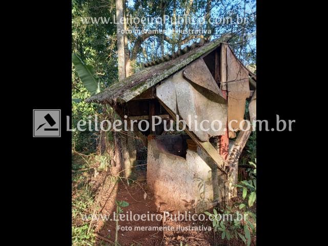 Foto 64 de 95: Area Rural em leilão em Itá - SC — ITÁ (SC): IMÓVEL 30.000,00 m²