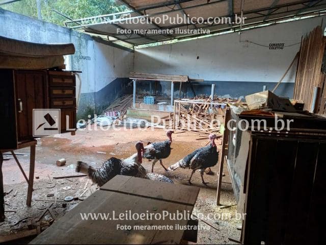 Foto 74 de 95: Area Rural em leilão em Itá - SC — ITÁ (SC): IMÓVEL 30.000,00 m²