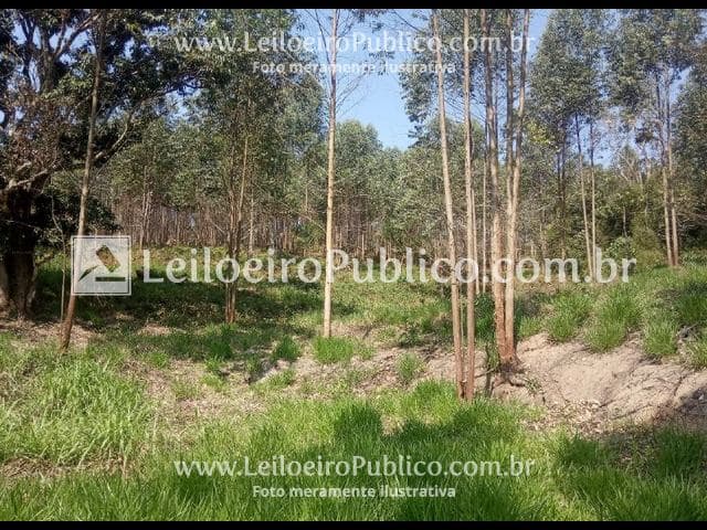 Foto 11 de 12: Area Rural em leilão em Mogi Das Cruzes - SP, bairro Caputera — MOGI DAS CRUZES (SP): TERRENO RURAL 135.272,00 m²