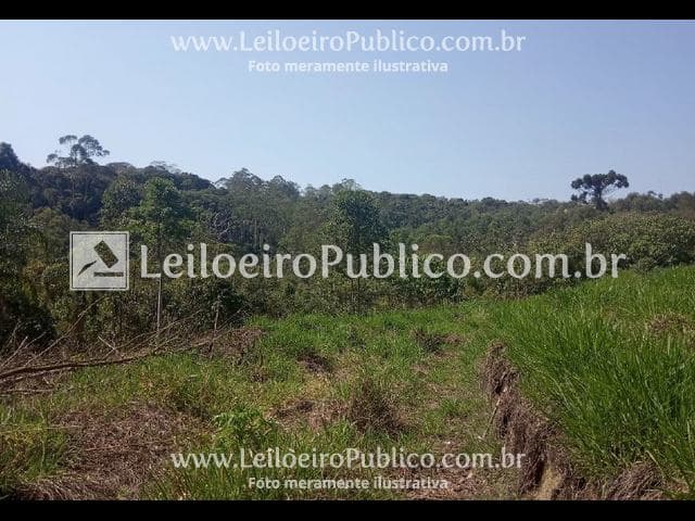 Foto 12 de 12: Area Rural em leilão em Mogi Das Cruzes - SP, bairro Caputera — MOGI DAS CRUZES (SP): TERRENO RURAL 135.272,00 m²