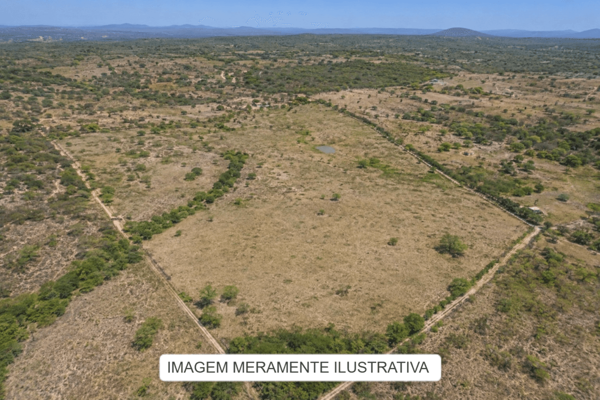 Area Rural em leilão em Carnaubeira Da Penha - PE — IMÓVEIS RURAIS — LOTE Nº 01