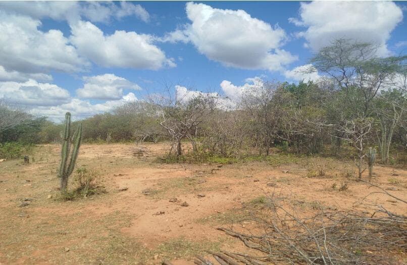 Foto 4 de 4: Area Rural em leilão em Santa Terezinha - PE, bairro Povoado do Tigre — IMÓVEIS RURAIS — LOTE Nº 01