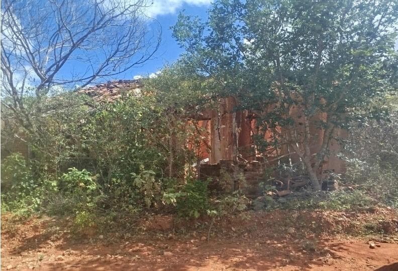 Foto 3 de 4: Area Rural em leilão em Santa Terezinha - PE, bairro Povoado do Tigre — IMÓVEIS RURAIS — LOTE Nº 01