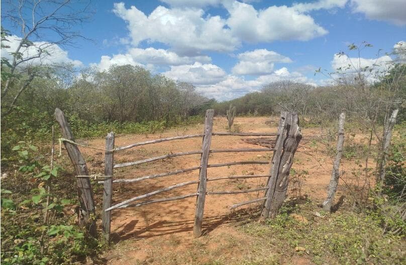 Foto 1 de 4: Area Rural em leilão em Santa Terezinha - PE, bairro Povoado do Tigre — IMÓVEIS RURAIS — LOTE Nº 01