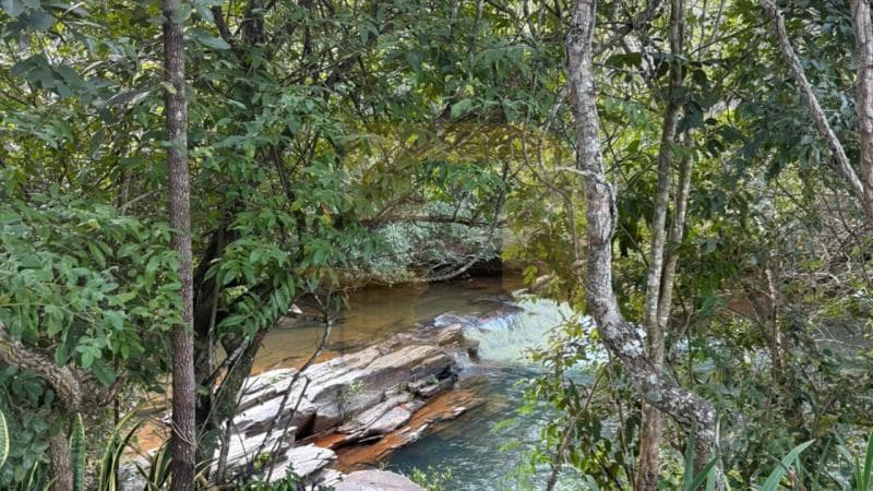 Foto 8 de 8: Area Rural em leilão em Paracatu - MG — IMÓVEIS RURAIS — LOTE Nº 62078