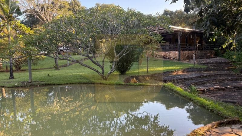 Foto 4 de 8: Area Rural em leilão em Paracatu - MG — IMÓVEIS RURAIS — LOTE Nº 62078