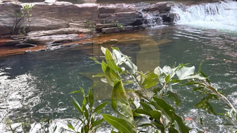 Foto 6 de 8: Area Rural em leilão em Paracatu - MG — IMÓVEIS RURAIS — LOTE Nº 62078