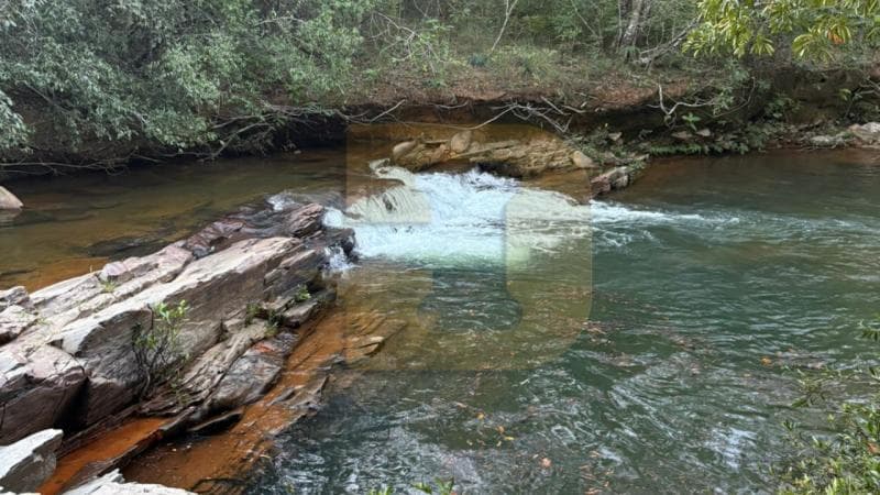 Foto 7 de 8: Area Rural em leilão em Paracatu - MG — IMÓVEIS RURAIS — LOTE Nº 62078