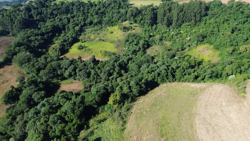 Foto 3 de 3: Area Rural em leilão em São Lourenço Do Oeste - SC — LOTE 002 [19.547] LOTE RURAL DE 41.697,50M² - SÃO LOURENÇO DO OESTE/SC