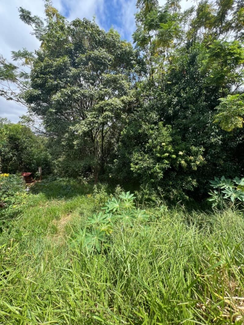 Foto 5 de 6: Terreno em leilão em São Lourenço Do Oeste - SC — LOTE 001 [11.988] TERRENO DE 490,102M² EM SÃO LOURENÇO DO OESTE/SC