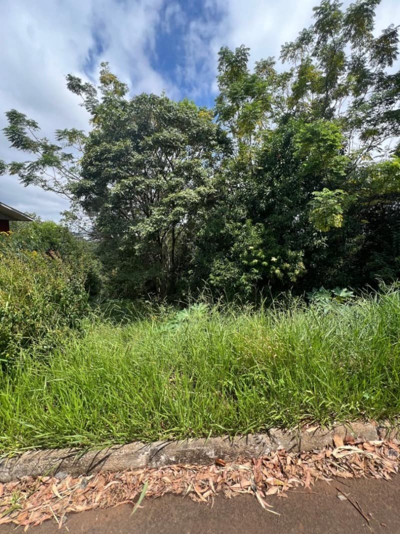 Foto 6 de 6: Terreno em leilão em São Lourenço Do Oeste - SC — LOTE 001 [11.988] TERRENO DE 490,102M² EM SÃO LOURENÇO DO OESTE/SC