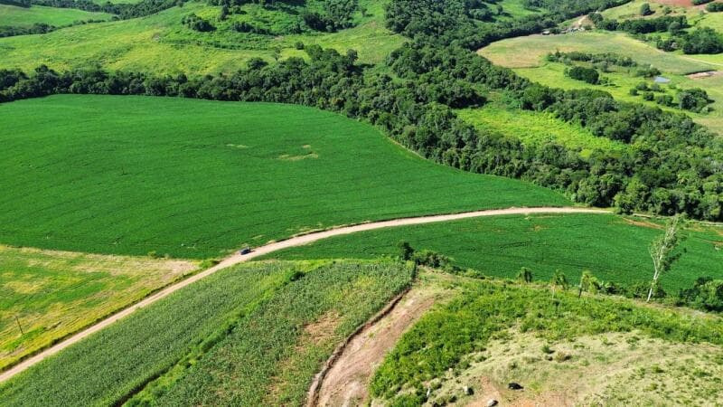 Foto 1 de 5: Terreno em leilão em São Lourenço Do Oeste - SC, bairro Presidente Juscelino — LOTE 001 [7.029] LOTE RURAL DE 16 HECTARES EM SÃO LOURENÇO DO OESTE/SC (LINHA FARROUPILHA)