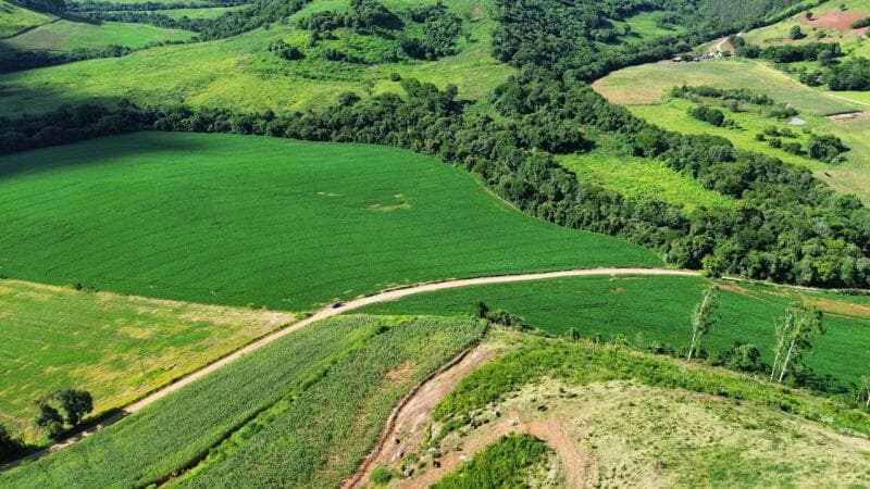 Foto 2 de 5: Terreno em leilão em São Lourenço Do Oeste - SC, bairro Presidente Juscelino — LOTE 001 [7.029] LOTE RURAL DE 16 HECTARES EM SÃO LOURENÇO DO OESTE/SC (LINHA FARROUPILHA)