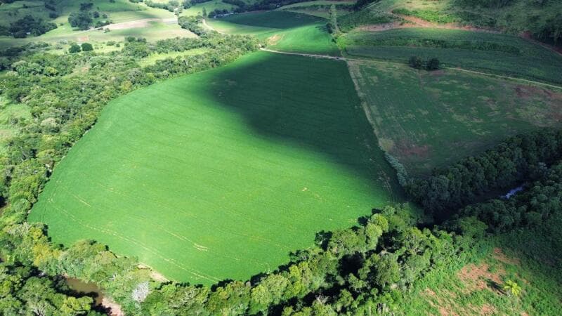 Foto 3 de 5: Terreno em leilão em São Lourenço Do Oeste - SC, bairro Presidente Juscelino — LOTE 001 [7.029] LOTE RURAL DE 16 HECTARES EM SÃO LOURENÇO DO OESTE/SC (LINHA FARROUPILHA)