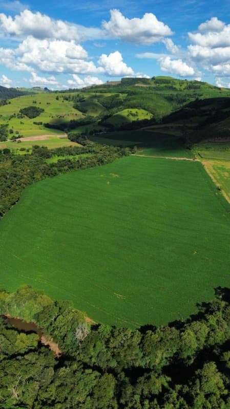 Foto 4 de 5: Terreno em leilão em São Lourenço Do Oeste - SC, bairro Presidente Juscelino — LOTE 001 [7.029] LOTE RURAL DE 16 HECTARES EM SÃO LOURENÇO DO OESTE/SC (LINHA FARROUPILHA)