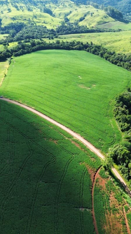 Foto 5 de 5: Terreno em leilão em São Lourenço Do Oeste - SC, bairro Presidente Juscelino — LOTE 001 [7.029] LOTE RURAL DE 16 HECTARES EM SÃO LOURENÇO DO OESTE/SC (LINHA FARROUPILHA)