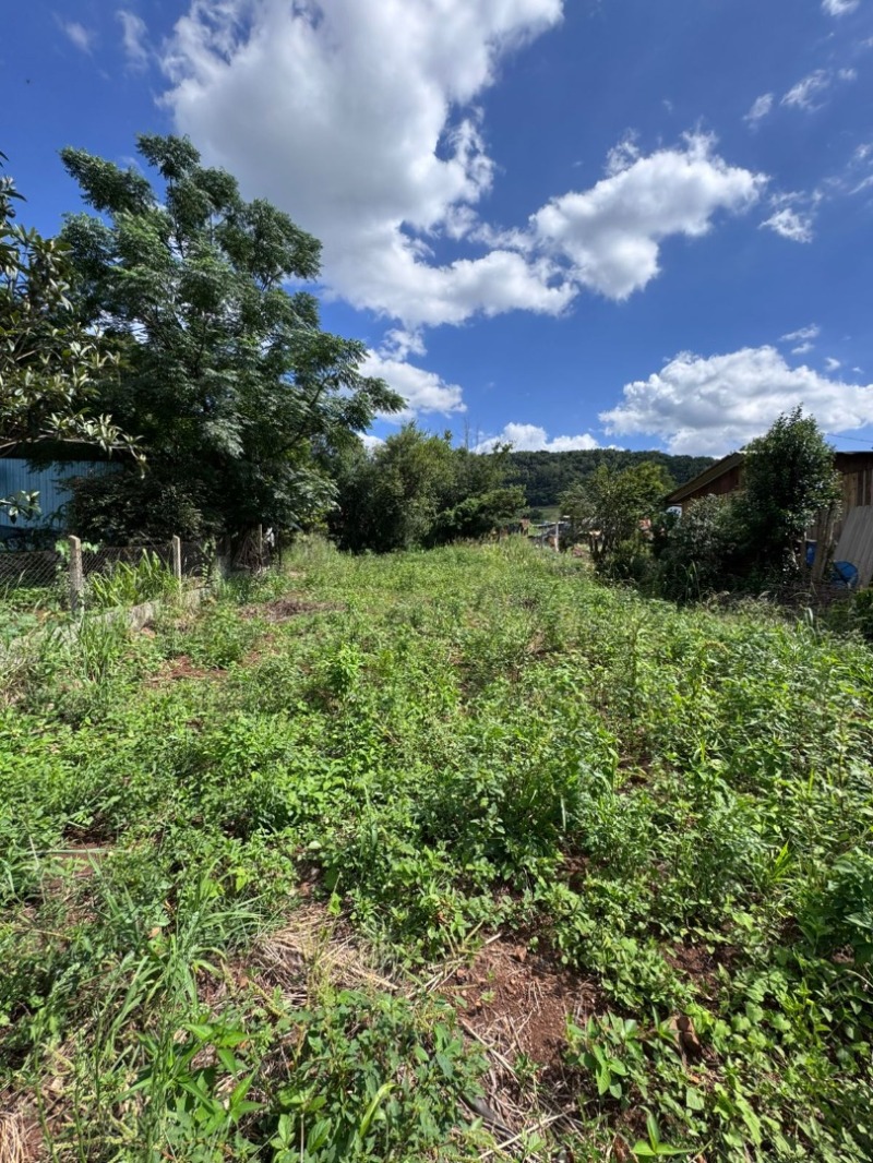 Foto 5 de 11: Terreno em leilão em Santa Terezinha Do Progresso - SC — LOTE 002 [11.108] TERRENO URBANO DE 480M² EM SANTA TEREZINHA DO PROGRESSO/SC