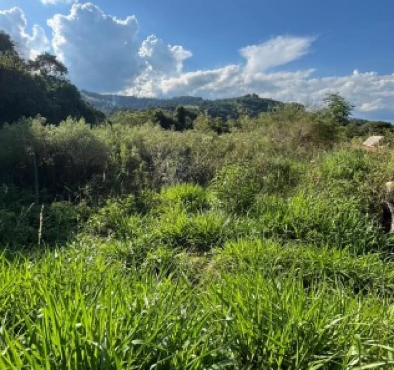Foto 1 de 3: Terreno em leilão em Romelândia - SC — LOTE 001 [7.293] FRAÇÃO IDEAL DE 2.000,00M² EM ROMELÂNDIA/SC