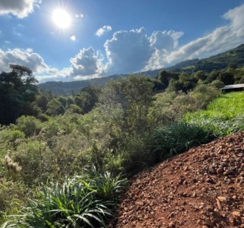 Foto 2 de 3: Terreno em leilão em Romelândia - SC — LOTE 001 [7.293] FRAÇÃO IDEAL DE 2.000,00M² EM ROMELÂNDIA/SC