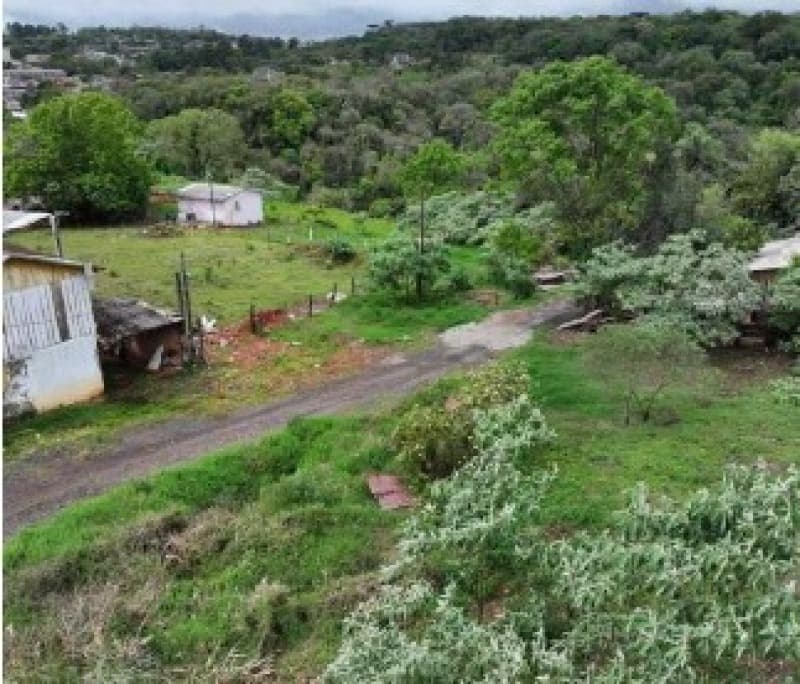 Foto 2 de 9: Terreno em leilão em Chapecó - SC — LOTE 005 [6.195] PARTE IDEAL DE LOTE RURAL DE 10.000,00M² EM CHAPECÓ/SC