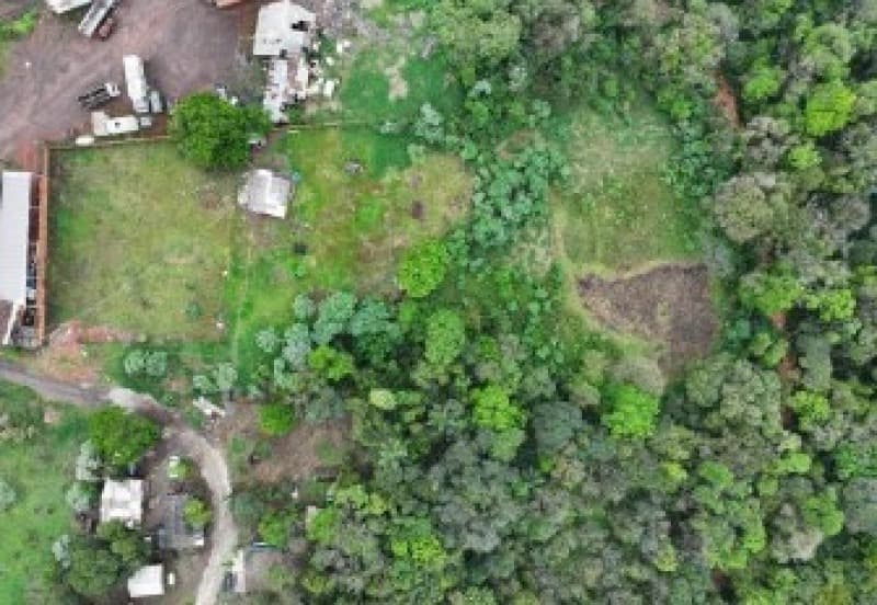 Foto 3 de 9: Terreno em leilão em Chapecó - SC — LOTE 005 [6.195] PARTE IDEAL DE LOTE RURAL DE 10.000,00M² EM CHAPECÓ/SC